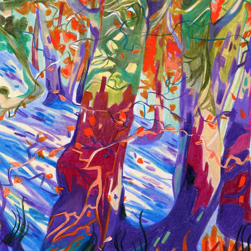DI CHE COLORE SONO GLI ALBERI?